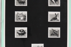 Lot-1588_36