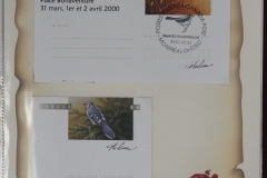 Lot-1589_25