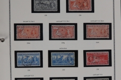Lot-1612_34