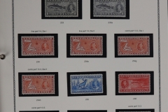 Lot-1613_45