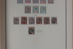 Lot-1715_57