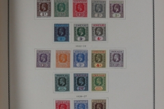 Lot-1715_60