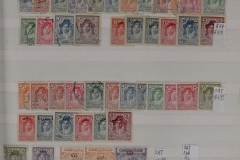 Lot-1917_10