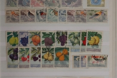 Lot-1917_37