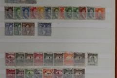 Lot-1917_45
