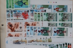 Lot-2035_10