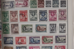 Lot-1480_14