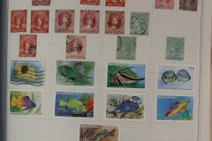Lot-1517_043