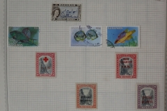 Lot-1517_044