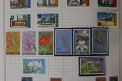Lot-1517_048