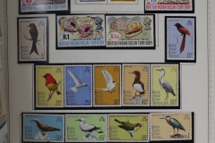 Lot-1517_072