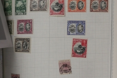 Lot-1517_216