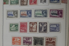 Lot-1517_221