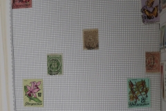 Lot-1517_223