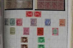 Lot-1517_243