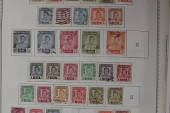Lot-1517_257