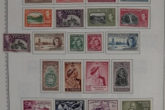 Lot-1517_384