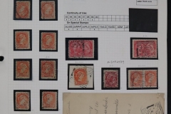 Lot-586-19