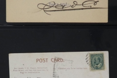Lot-586-29