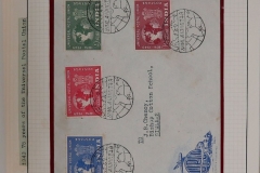 Lot-888-021