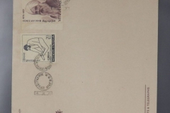 Lot-888-030