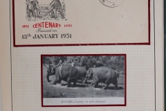 Lot-888-099