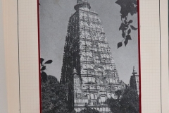Lot-888-100
