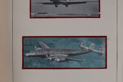 Lot-888-105