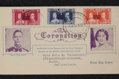 Lot-923_30