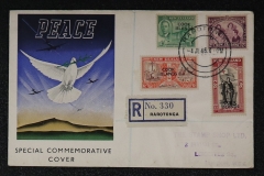 Lot-923_33