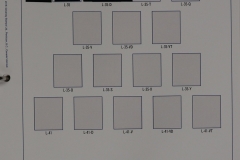 Lot-251-014