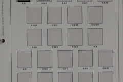 Lot-251-017