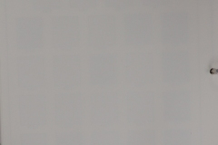 Lot-251-024