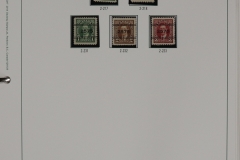 Lot-251-062