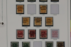 Lot-251-135