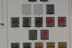 Lot-251-141