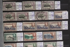 Lot-595_22