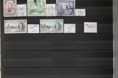 Lot-595_25