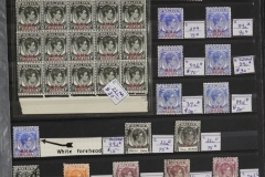 Lot-595_42