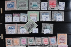 Lot-595_50