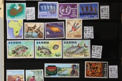 Lot-595_54
