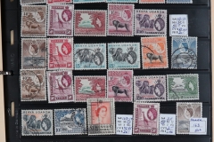 Lot-595_55