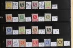 Lot-595_61