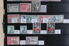 Lot-595_71