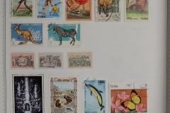 Lot-721_05