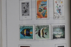 Lot-721_10