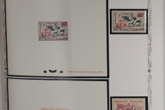 Lot-731_014