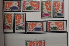 Lot-731_027