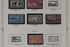 Lot-1020_43