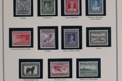 Lot-1107_24